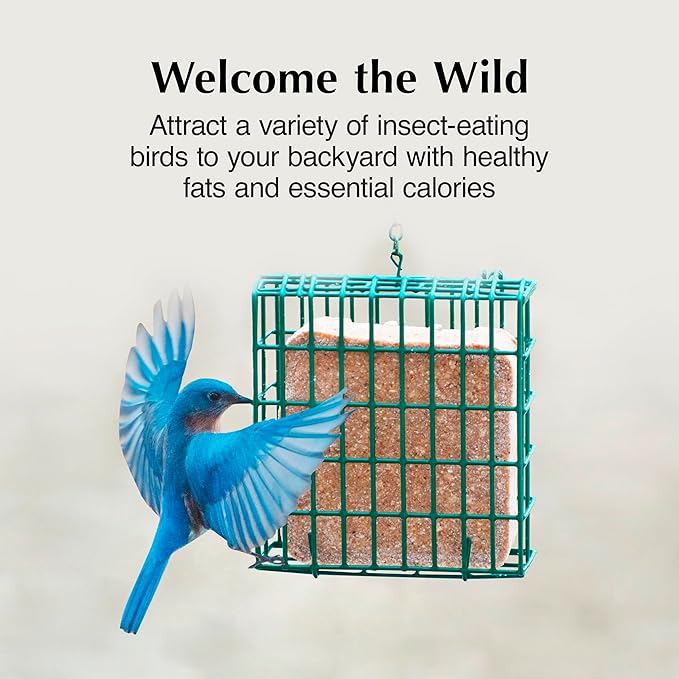 C&S Insect Suet Treat, Suet Cakes for Wild Birds Including Woodpeckers, Wrens, Chickadees, Nuthatches and Robins, Pack of 8
