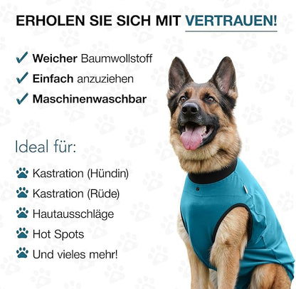 BellyGuard Dog Surgery Recovery Suit, Dog Onesie for Post-Op Care, Recovery Apparel for Female and Male, Surgical Body Cover for Canine Healing Support
