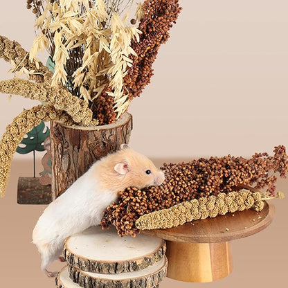 Natural Ear of Grain Flower&Herb Bedding Mate Habitat Decor, Adding Fun Hamster Accessories for Hamsters Gerbils Lemming