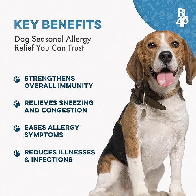 Dog Allergy Relief & Immune System Booster – Homeopathic Formula for Allergy Support & Skin Relief for Dog Itching – Helps with Sneezing, Runny Nose, Swelling, & Seasonal Allergies – 400 Tiny Pills