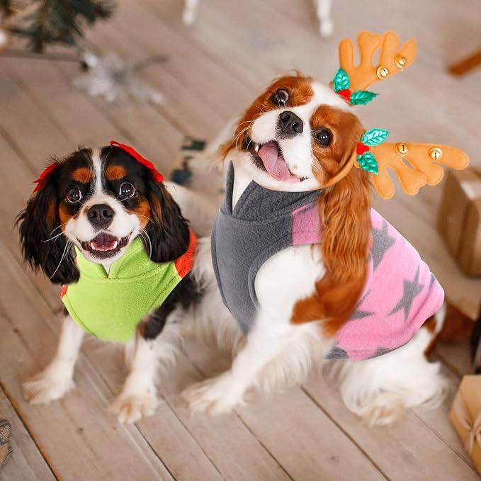 Reginary 10 Pack 2X-Large Dog Sweaters Fleece Pet Dog Clothes with Leash Ring Soft Warm Winter Puppy Plaid Shirt(Bright)