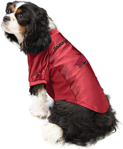 Littlearth NCAA Arizona Wildcats Stretch Pet Jersey, Team Color, Medium