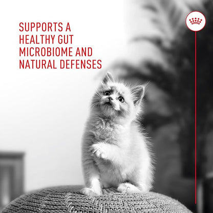 Royal Canin Probiotics for Cats Digestive and Immune Health Powder Supplement for Cats of All Ages, 30 Count (Pack of 2)