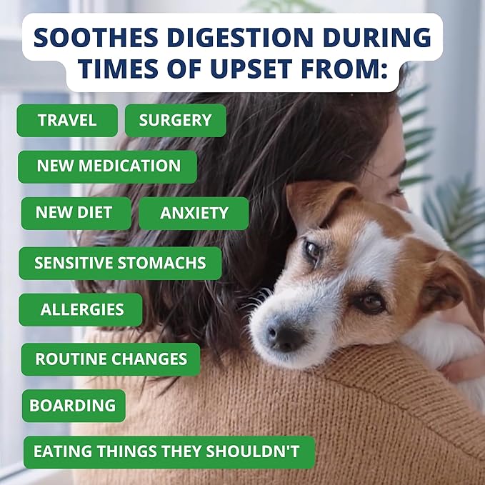 Under The Weather Easy to Digest Bland Dog Food Diet for Sick Dogs | Contains Electrolytes | Gluten Free, Freeze Dried 100% Human Grade Meats | 6 Pack - Rice, Hamburger & Bone Broth