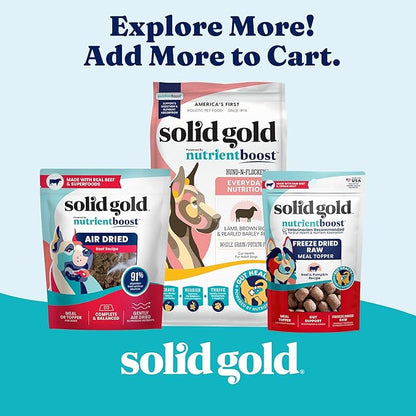 Solid Gold Canned Dog Food for Adult & Senior Dogs - High Protein Wet Dog Food w/Real Lamb, Whole Grains & Probiotics for Gut Health & Immunity - Small, Medium & Large Breed Dogs - 6ct 12.5oz Cans