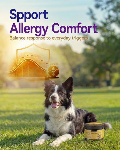 Dog Allergy Relief Chews – Seasonal Allergy Support for Dogs with Environmental Sensitivities, Immune & Gut Health Soft Chews for Allergy-Prone Dogs