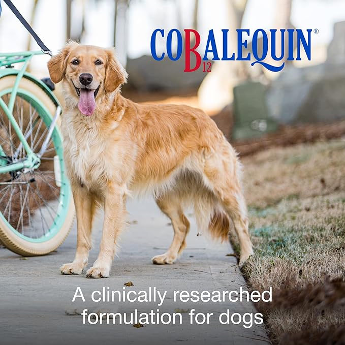 Nutramax Laboratories Cobalequin B12 Supplement for Medium to Large Dogs,45 Chewable Tablets,Hydrolyzed Chicken,2.08 Ounces,(Pack of 2)