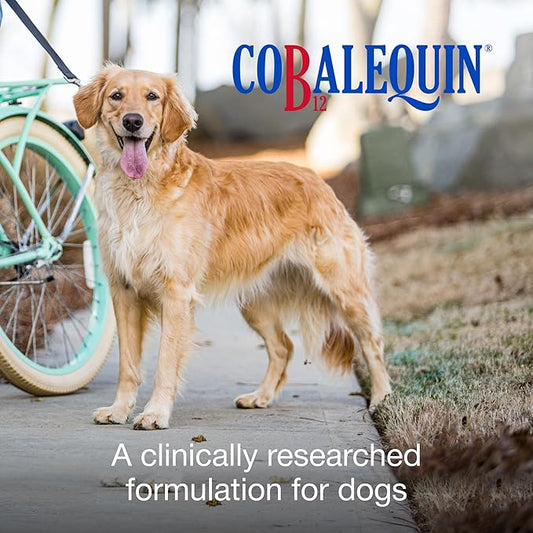 Nutramax Laboratories Cobalequin B12 Supplement for Medium to Large Dogs,45 Chewable Tablets,Hydrolyzed Chicken,2.08 Ounces,(Pack of 2)
