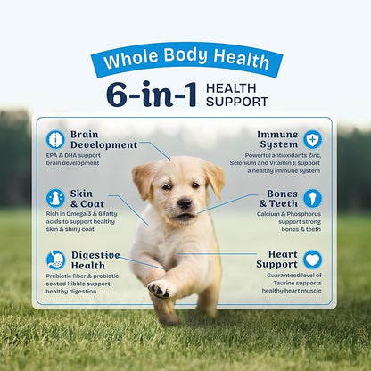 Natural Balance Health Protection Puppy Dry Dog Food – Whole Body Health, Easy on Digestion Dog Food Made with Chicken, Brown Rice & Pumpkin for Puppies - 12lbs.