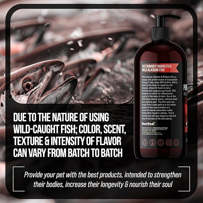 Best Paw Nutrition Wild Alaskan Salmon & Pollock Oil for Dogs & Cats - Fish Oil Liquid Pump with Omega 3 EPA DHA - Skin & Coat Supplement - Supports Joint Function & Wellness - 32 oz