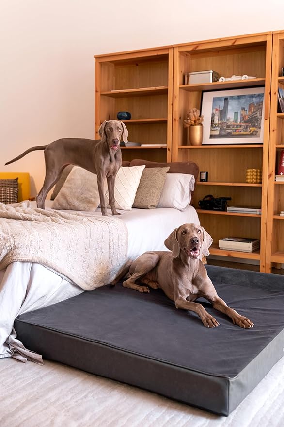 NOAH & PAW Giant Dog Bed XXL 55x45x9.5 Inch, Orthopedic Dog Beds, Eggshell Memory Foam Infused with Cooling Gel, Waterproof, Machine Washable, Includes Inner Cover (Faux Leather)