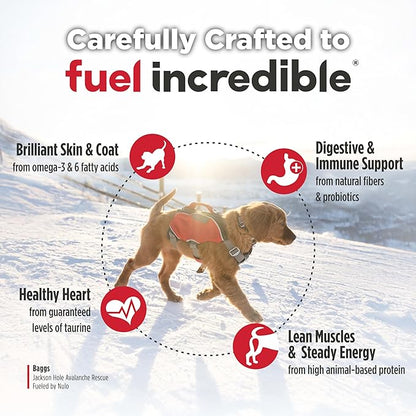 Nulo Freestyle Large Breed Puppy Food - Salmon & Turkey, Dry Grain Free Dog Food for Puppies, Natural, High Protein Kibble with DHA, Probiotics, Calcium & Phosphorus for Healthy Development, 26lb Bag