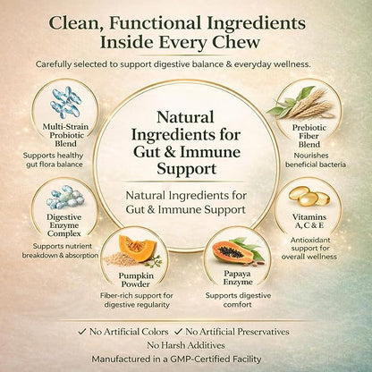 wikiRay Probiotics for Dogs – Soft Chews for Digestive Health & Immunity | 120 Chews | 3 Billion CFU, Pumpkin, Enzymes, Vitamins & Prebiotics | Made with Natural Ingredients