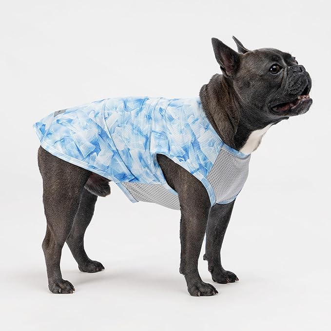 Fitwarm 2 Pack Ice Lemon UPF 50+ UV Sun Protection Dog Shirt, Lightweight Dog Cooling Vest, Quick Dry Summer Clothes for Small Dogs Boy Girl, Pet Outfit, Blue, Yellow, White, XL
