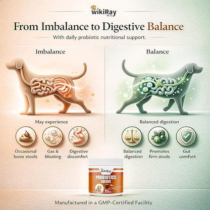 wikiRay Probiotics for Dogs – Soft Chews for Digestive Health & Immunity | 120 Chews | 3 Billion CFU, Pumpkin, Enzymes, Vitamins & Prebiotics | Made with Natural Ingredients