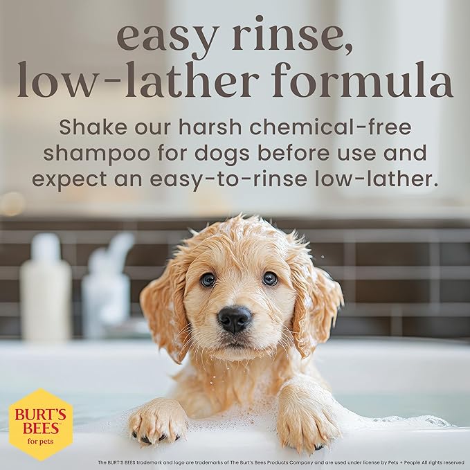 Burt's Bees for Pets Tearless Puppy Shampoo with Buttermilk and Flaxseed Oil, Gentle Dog Shampoo for Puppies 8+ Weeks, Fragrance Free Coat Cleanser with 95% Natural Origin Formula, 16 Fl Oz - 6 Pack