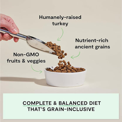 Open Farm, Ancient Grains Dry Dog Food, Protein-Rich & Nutrient Dense, 90% Animal Protein Mixed with Non-GMO Fruits, Veggies and Superfoods, Homestead Turkey Recipe, 22lb Bag