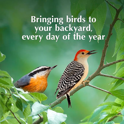 C&S High Energy Delight No Melt Suet Dough, Suet Cakes for Wild Birds Including Woodpeckers, Nuthatches, Chickadees and More, Pack of 8
