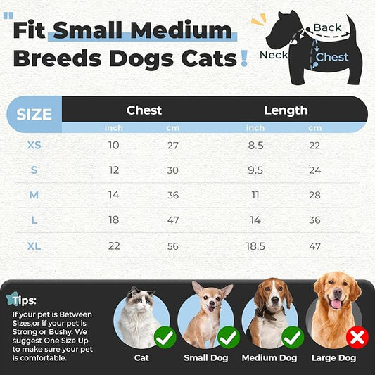 PETCARE Small Dog Sweater Cute Bear Dog Cardigan Coat Clothes for Small Medium Dogs Boy Girl Cat Sweaters Clothes for Cats Only Soft Warm Fall Winter Puppy Knitted Outfits Chihuahua Shih Tzu, Blue
