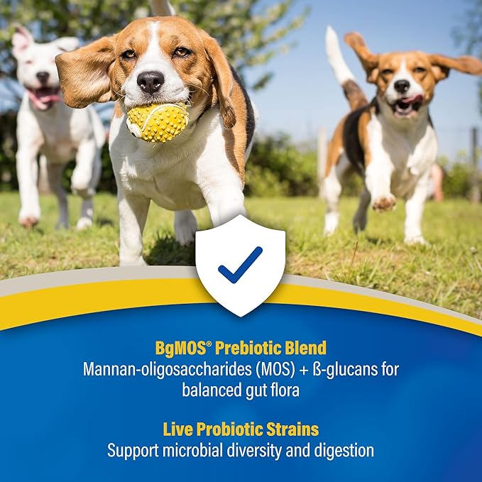 Doc Roy’s GI Synbiotics Probiotic & Prebiotic Supplemental Gel for Dogs & Cats, Digestive & Immune Health Supplement with Live Cultures, BgMOS & Beta Glucans, Chicken Flavor, 30ml Oral Gel