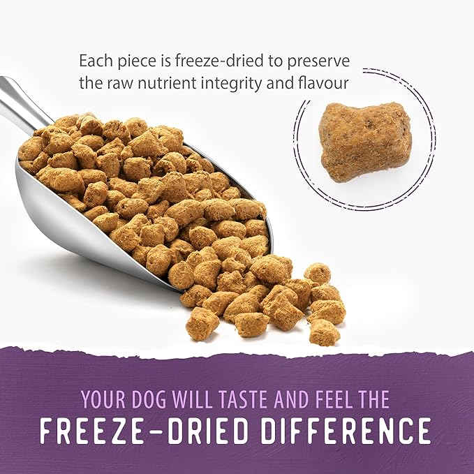 Caledon Farms Simply Freeze Dried Dog Food Beef Recipe 9.8oz