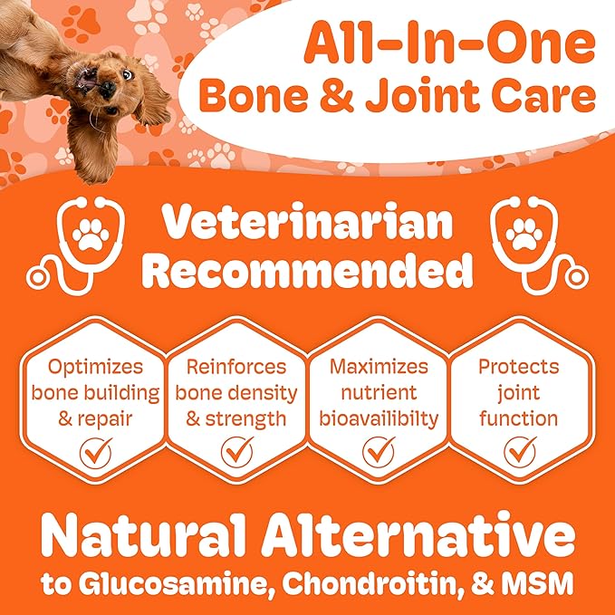 Canine Maintenance Formula - Lactoferrin-Based Bone and Joint Supplement for Dogs - 90 Ct Dual Pack Chewable Tablets, Liver Flavor