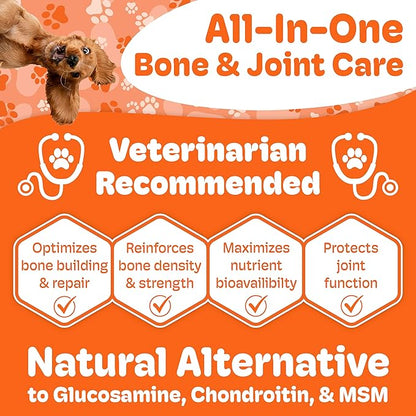 Canine Maintenance Formula - Lactoferrin-Based Bone and Joint Supplement for Dogs - 90 Ct Dual Pack Chewable Tablets, Liver Flavor