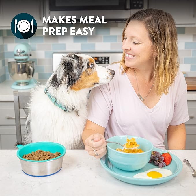 Our Pets DuraPet Stainless Steel Dog Bowl with 3 Pieces TPE Inserts for Puppies or Small Sized Dogs, Holds 1.25 Cups