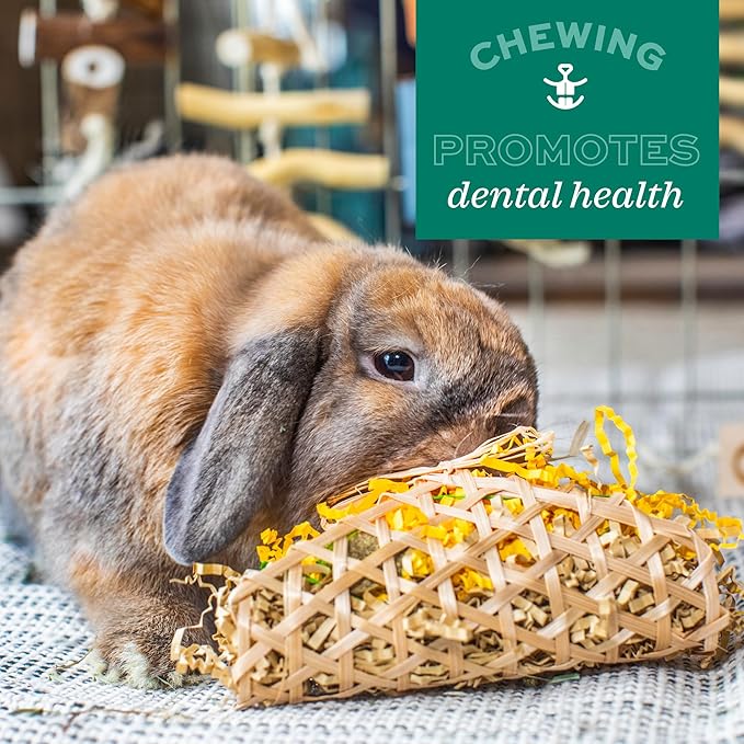 Oxbow Enriched Life Twisty Rings, Rabbit & Guinea Pig Toy, Hamster, Chinchilla & Rat Chew Rings, Small Pet Enrichment & Cage Accessory, Safe Natural Chew, Bunny Boredom Breaker, Enrichment Play Toy