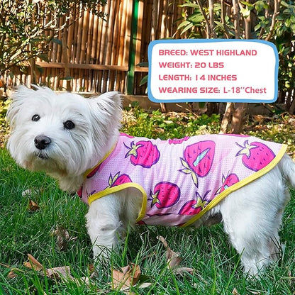 KYEESE 2Pack Dog Shirt, Lightweight Sun Protection Dog T Shirts for Small Dogs Girl, Breathable Mesh Tank Top Sleeveless Pet Reflective Vest, Soft Summer Dogs Clothes, Strawberry+Rose Red, M