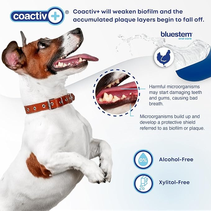 bluestem Freshens Dog and Cat Breath - Safe and Effective Dental Water Additive - 17 Ounce - Chicken