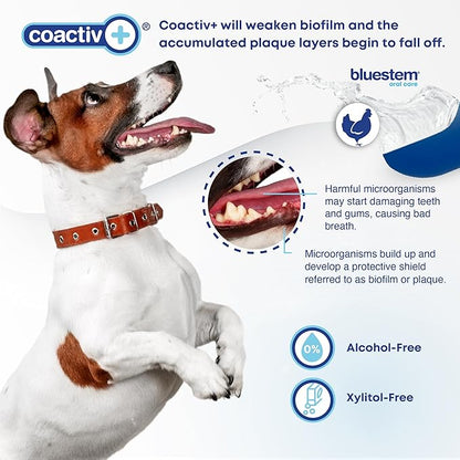 bluestem Freshens Dog and Cat Breath - Safe and Effective Dental Water Additive - 17 Ounce - Chicken