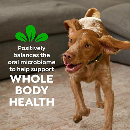 Greenies Dog Treats, Veterinarian-Recommended Natural Dental Dog Treats, Large Size, Variety Pack Flavor, (3) 12 oz. Packs, 24 Count