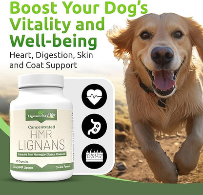 Lignans For Life HMR LIGNANS 10mg Capsules - Perfect for Small Dog Breeds - Vitamin for Healthy Pet | Multivitamin | Wellness Supplement | Nutritional