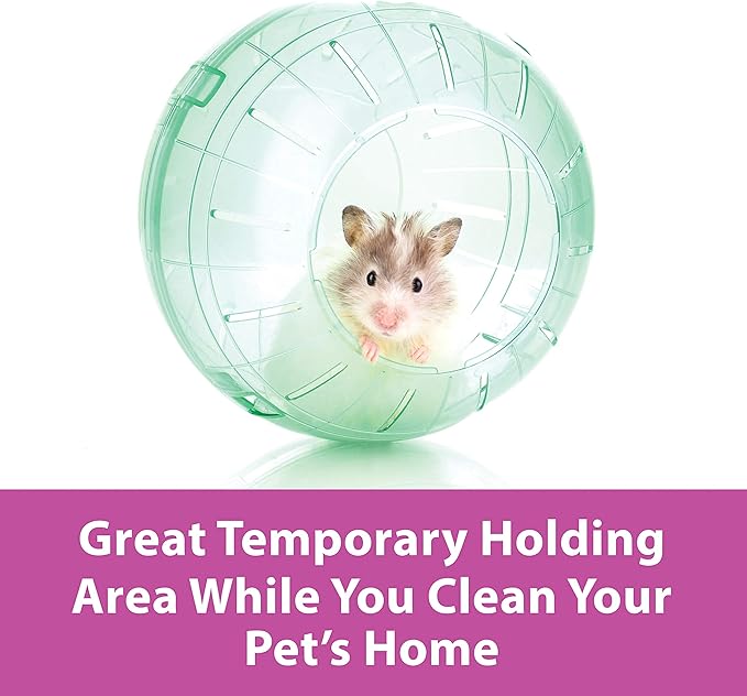 Kaytee 13" Clear Run-About Exercise Ball For Pet Rats & Chinchillas