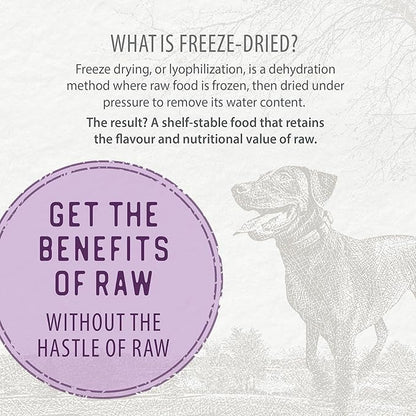 Caledon Farms Simply Freeze Dried Dog Food Beef Recipe 9.8oz