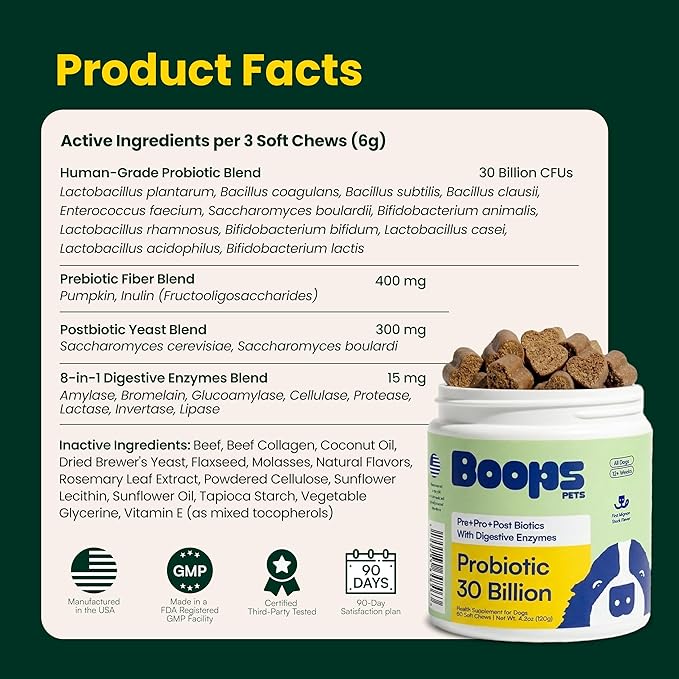 Probiotics for Dogs – 30 Billion CFU with Pre, Postbiotics & Digestive Enzymes – Supports Gut Health, Immunity, Loose Stools & Allergies – Filet Mignon Flavor – Vet Formulated – 60 Chews