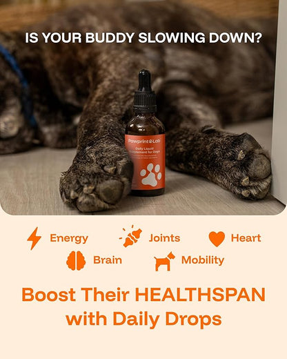 Dog Longevity Supplement NAD+ & NMN - Joint Health, Vitality & Healthy Aging - Nano liposomal Technology - Easy to Give Every Day - Better Absorption - Resveratrol - CoQ10
