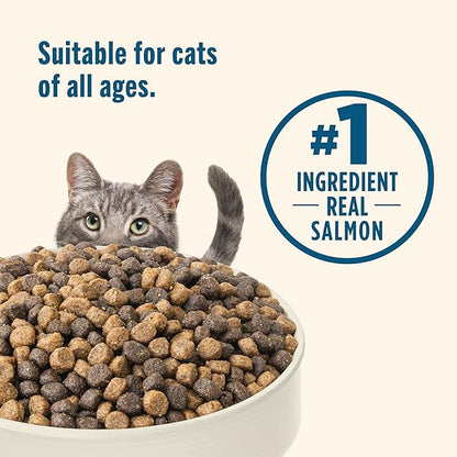 Nutrish Real Salmon & Brown Rice Recipe Dry Cat Food, 6 lb. Bag, Packaging May Vary (Rachael Ray)