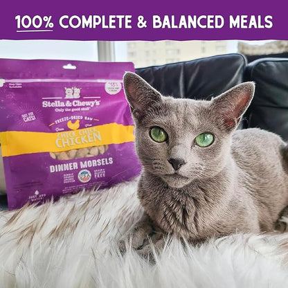 Stella & Chewy's Freeze-Dried Raw Cat Dinner Morsels - Premium Chicken Recipe with 98% Cage-Free Meat & Organs - Natural Grain-Free Cat & Kitten Food - Made in USA - 1 oz (Pack of 6)
