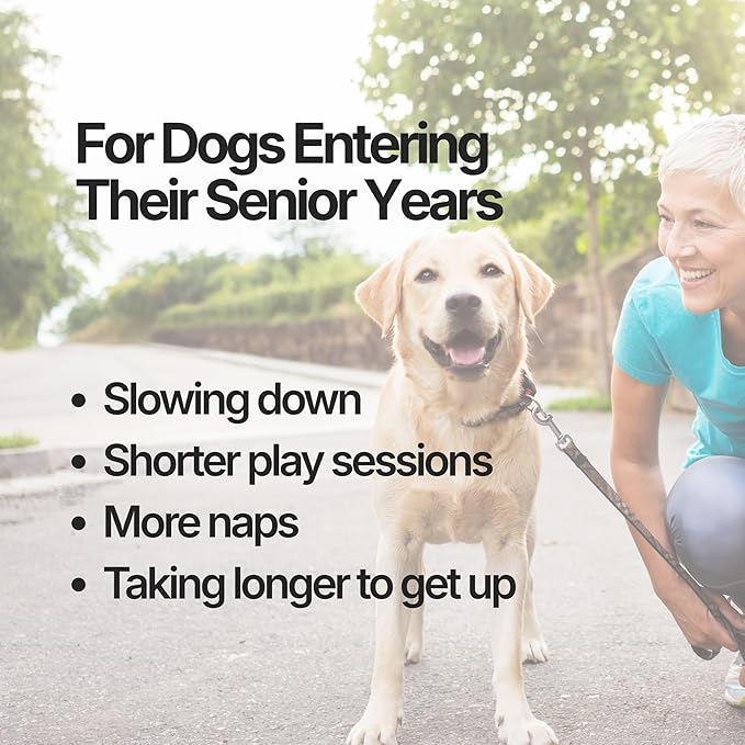 Amiquip Senior Dog Supplement – Joint Support, Cellular Vitality & Longevity for Healthy Aging – 90-Day Soft Chews with PQQ + Palmitoylethanolamide