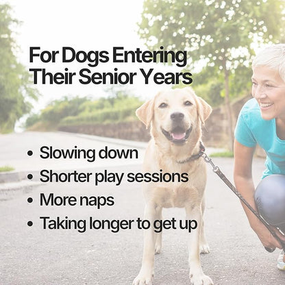 Amiquip Senior Dog Supplement – Joint Support, Cellular Vitality & Longevity for Healthy Aging – 90-Day Soft Chews with PQQ + Palmitoylethanolamide