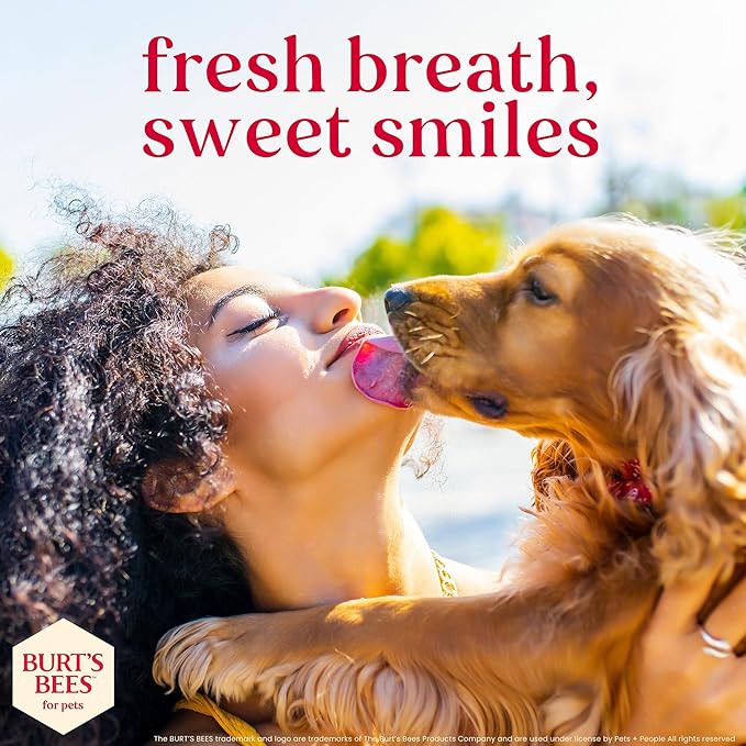 BURT'S BEES FOR PETS Dental Treats for Dogs with Manuka Honey & Ginger, Holistic, Plant-Based Oral Care, 98% Natural Origin Formulas, Peanut Butter Flavor, Dog Treats Medium Dogs, Sz Md/Lg 5ct, 7 oz