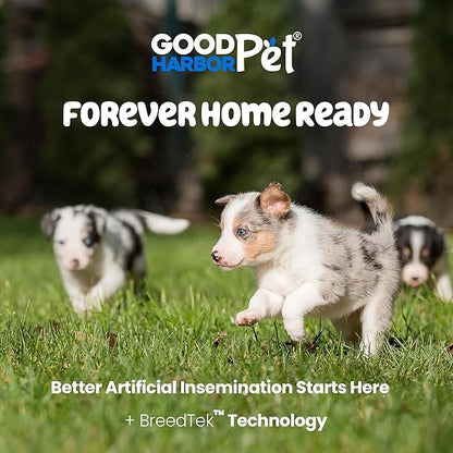 Good|Harbor Pet | Canine AI Artificial Insemination Dog Breeding Kit - Sizes: Small, (Med/Lg), & XLarge Breed