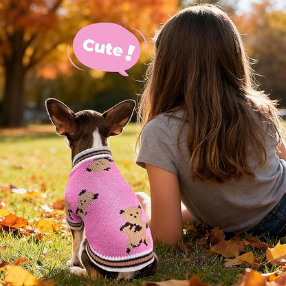 PETCARE Small Dog Sweater Cute Bear Dog Cardigan Coat Clothes for Small Medium Dogs Boy Girl Cat Sweaters Clothes for Cats Only Soft Warm Fall Winter Puppy Knitted Outfits Chihuahua Shih Tzu, Pink