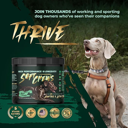 High-Performance & Longevity Soft Chews for Hunting, Sport and Working Dogs with Glucosamine, Chondroitin, Omega-3, Antioxidants, Ashwagandha, Probiotics, Beef Flavor, 90 Count