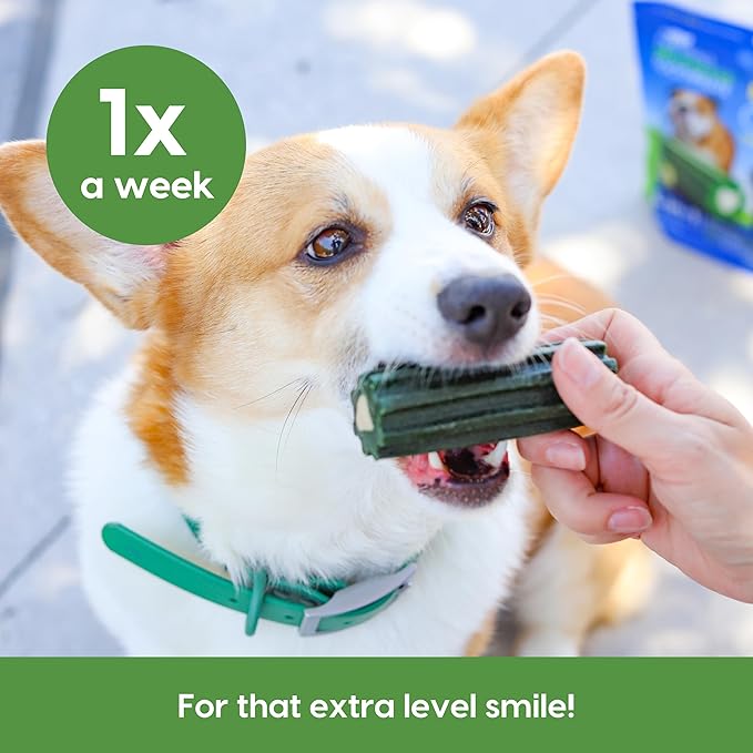 Ark Naturals Extreme Clean Brushless Toothpaste for Small Breeds, 12 oz Bag, Long-Lasting Dog Dental Chew with Toothpaste Center, Freshens Breath, Reduces Plaque & Tartar
