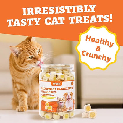 Wellix Freeze-Dried Treats for Dogs and Cats - Salmon Oil Cat Treats for Skin&Coat Health - Crunchy Healthy Kittens Snacks for Indoor Training - Chicken&Fish Oil Flavor 3.53oz
