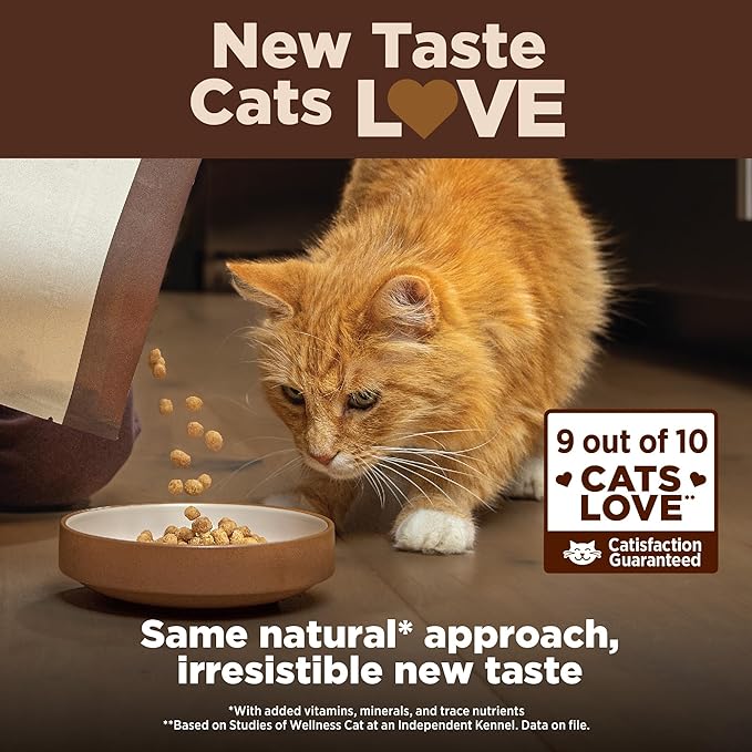 Wellness CORE+ Adult Dry Cat Food for Indoor Cats, Natural, Grain Free Kibble, Chicken and Turkey Recipe, 11 lb Bag