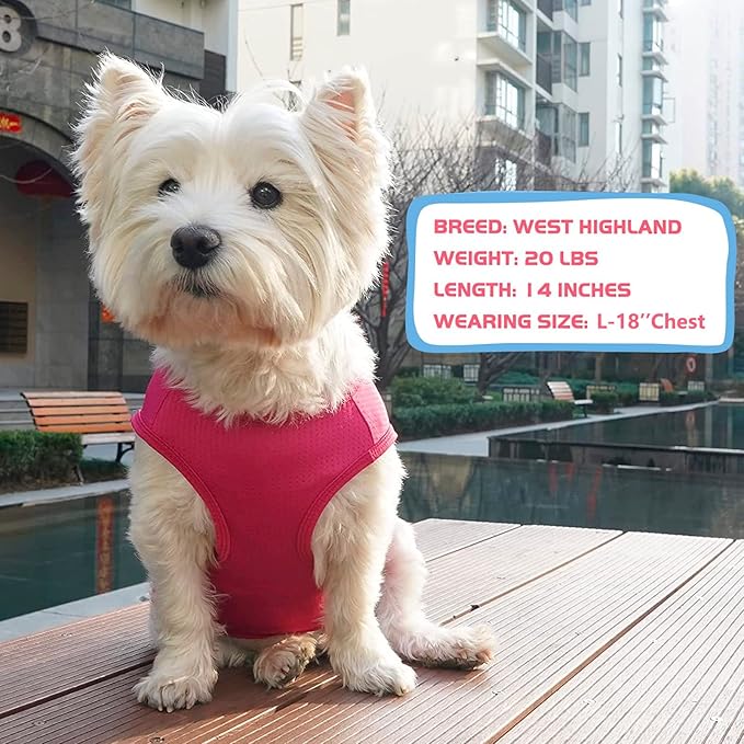 KYEESE 2Pack Dog Shirt, Lightweight Sun Protection Dog T Shirts for Small Medium Dogs Girl, Breathable Mesh Tank Top Sleeveless Pet Reflective Vest, Soft Summer Dogs Clothes, Strawberry+Rose Red, XL